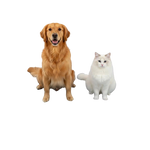 NestUp Heated Pet Pad